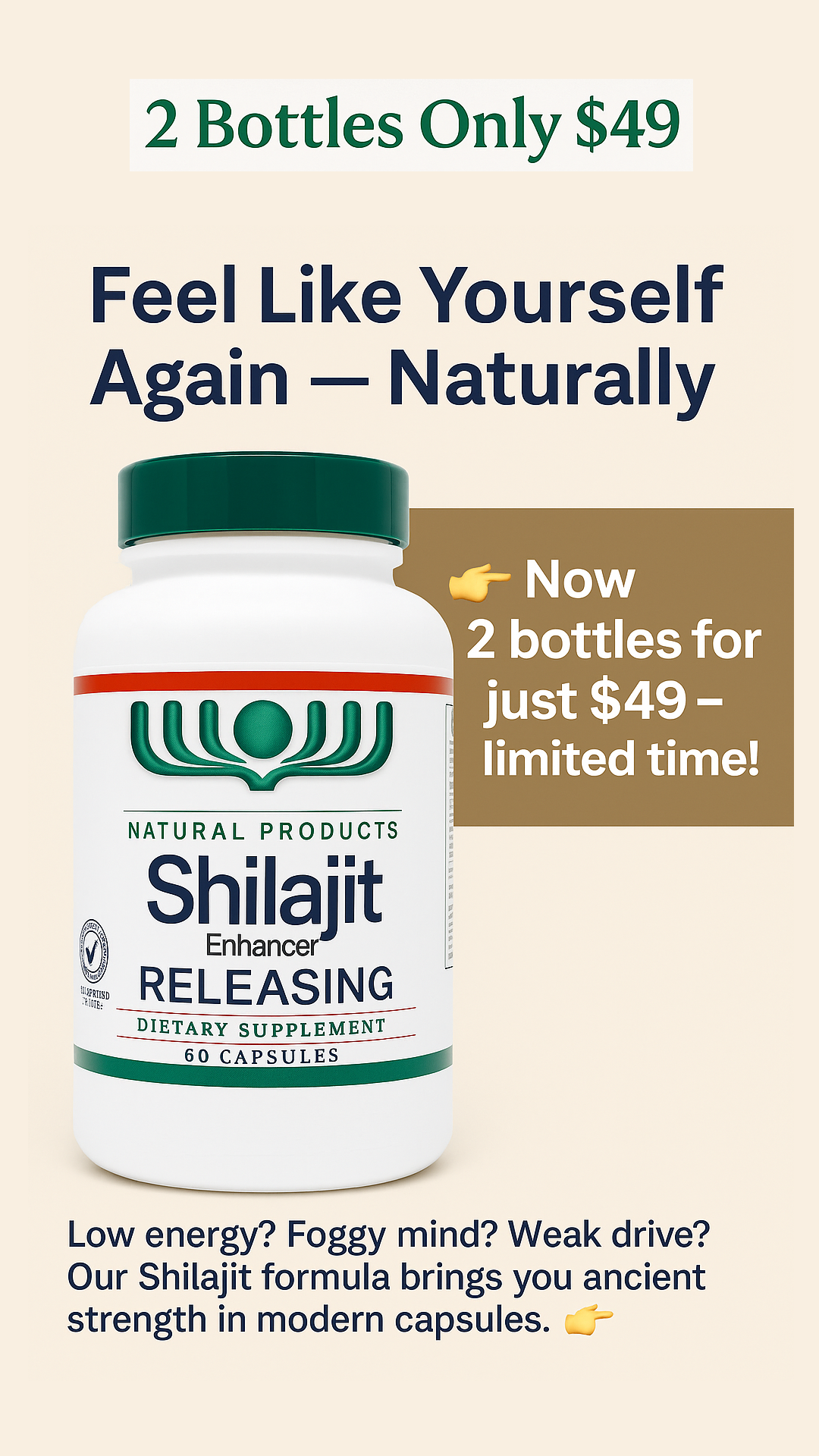 Shilajit 60 capsules